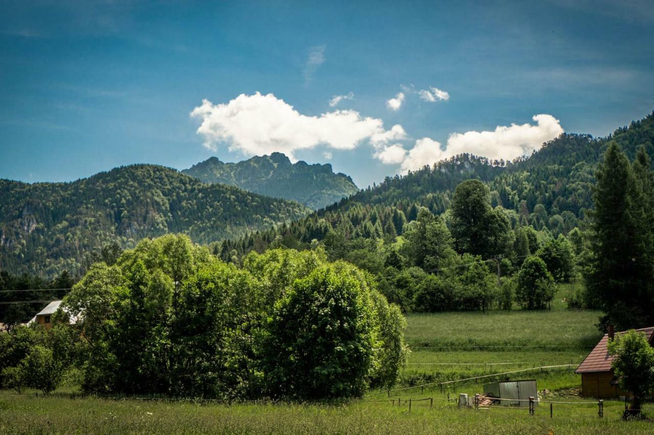Apartmany Janosik Terchova Bagian luar foto